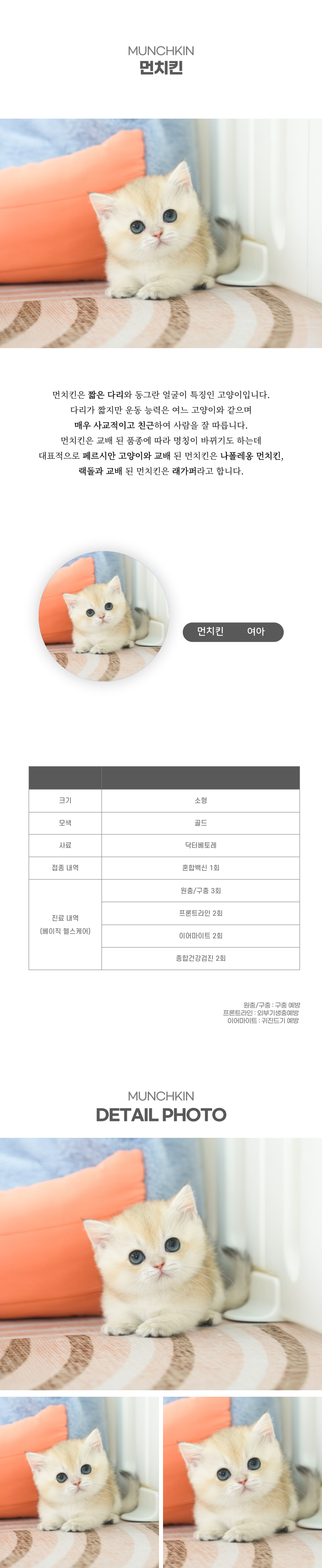 먼치킨_상세이미지_2